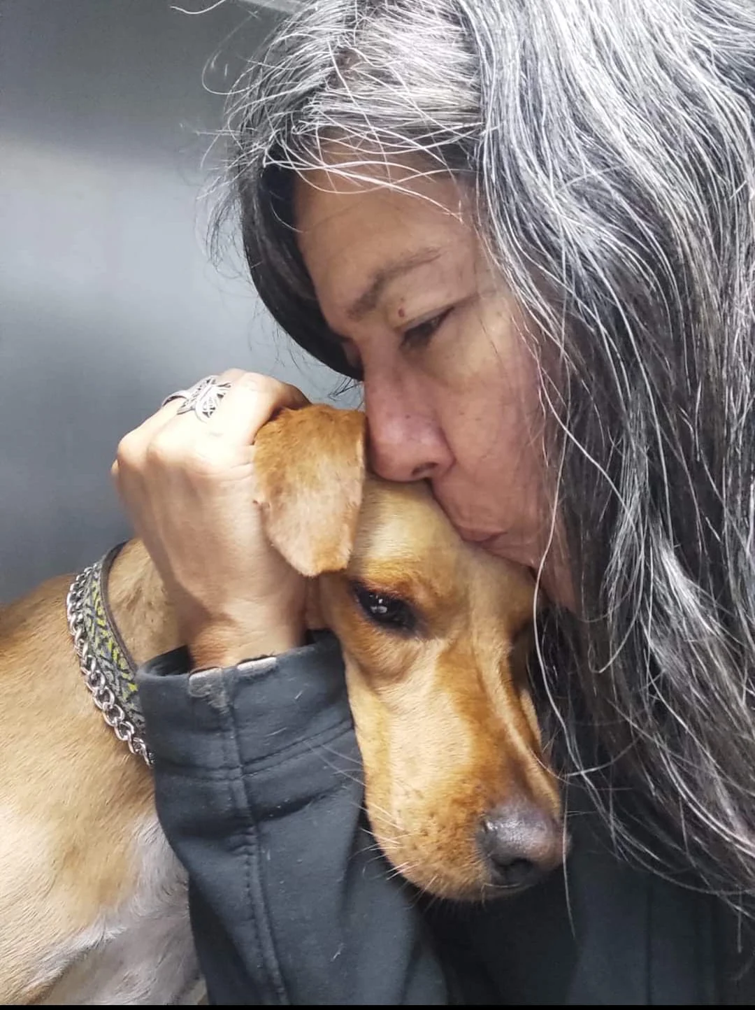 Terapia Asistida con Animales